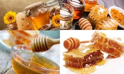 Turkish Honey Çeşitleri Nelerdir?