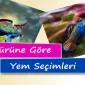 Balık Türüne Göre Yem Seçimi